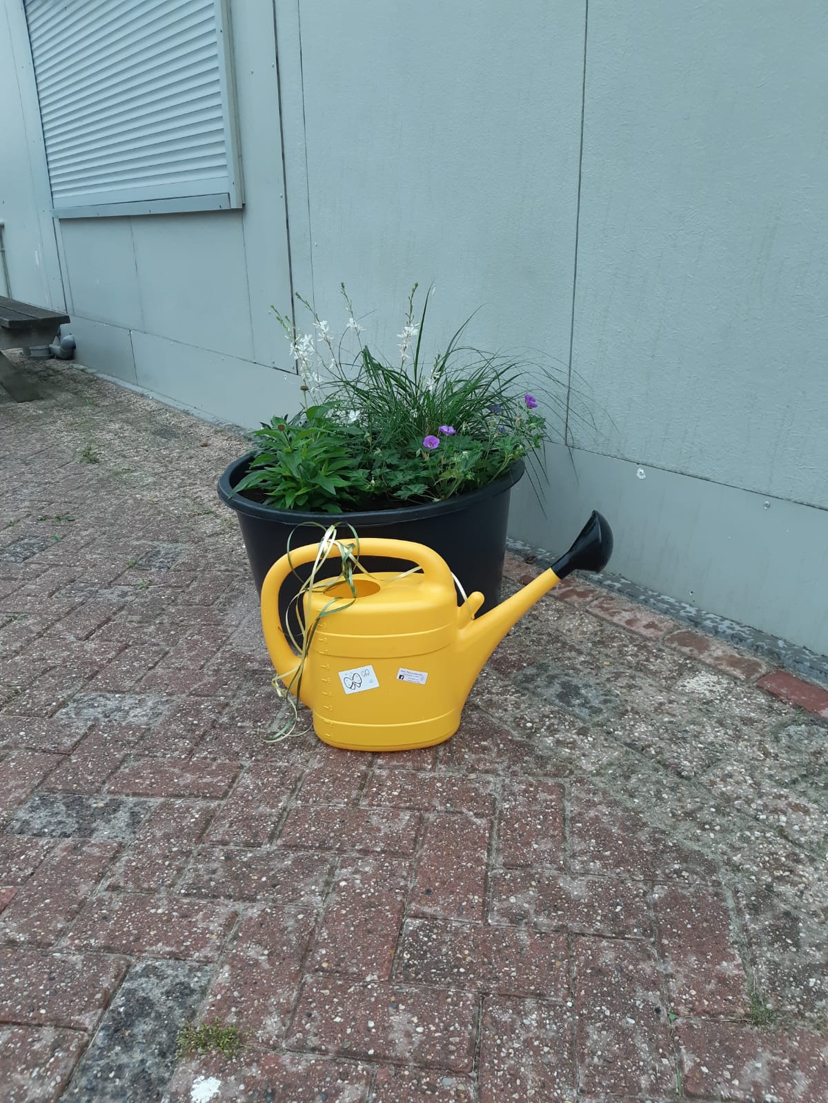 Plant2