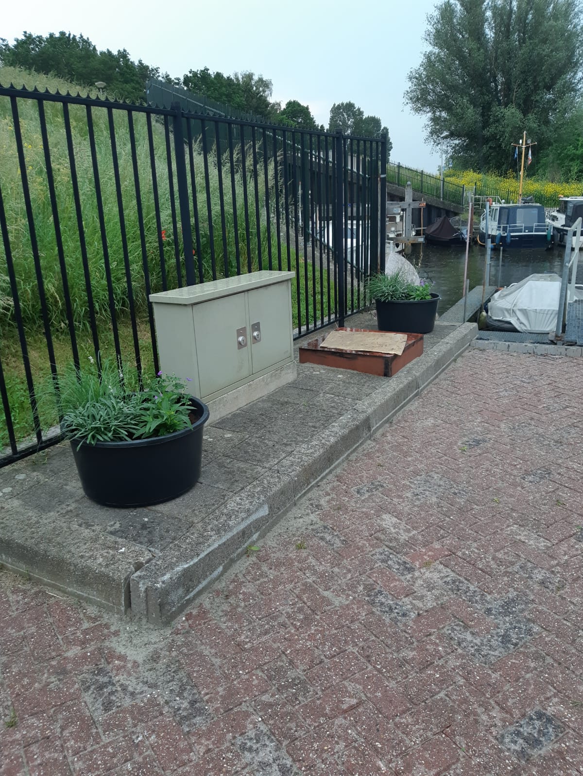 plant3
