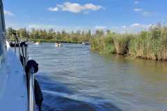 Biesbosch-3