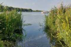 Biesbosch